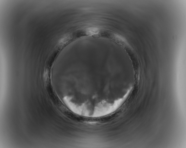 X0000086260598200704261957