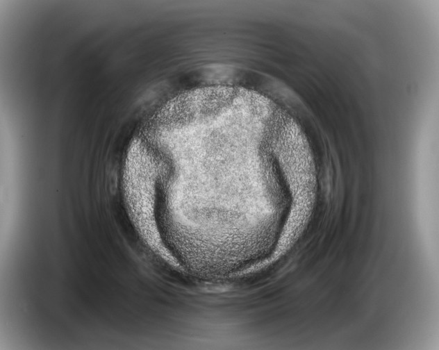 X0000086260602200704261957