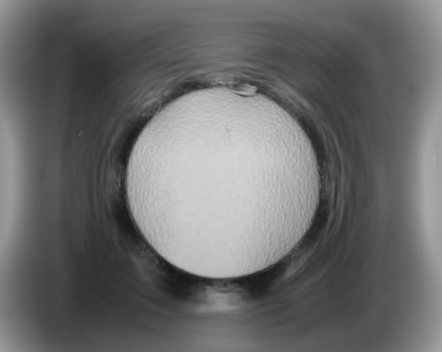 X0000086260603200704261957