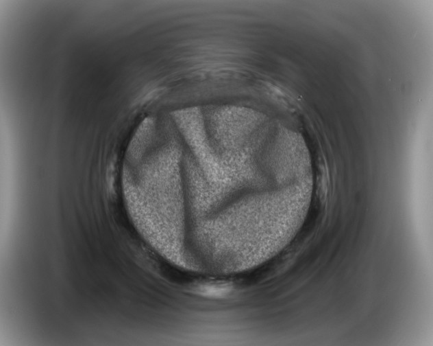 X0000086260604200704261957
