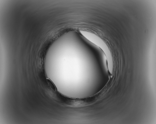 X0000086260605200704261957