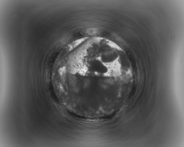 X0000086260606200704261957