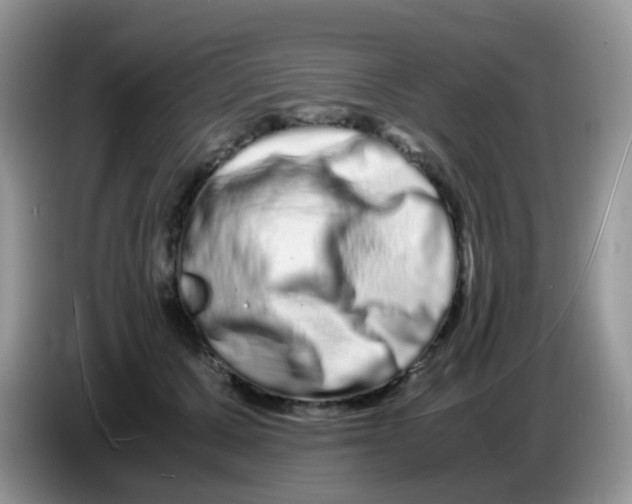 X0000086260607200704261957