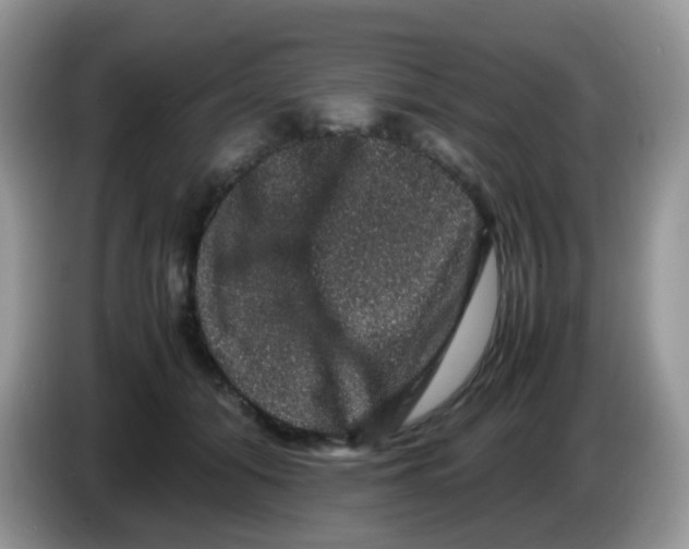 X0000086260608200704261957