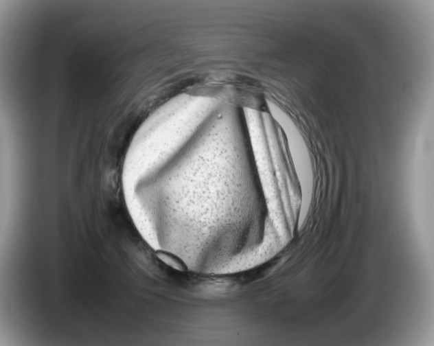 X0000086260609200704261957