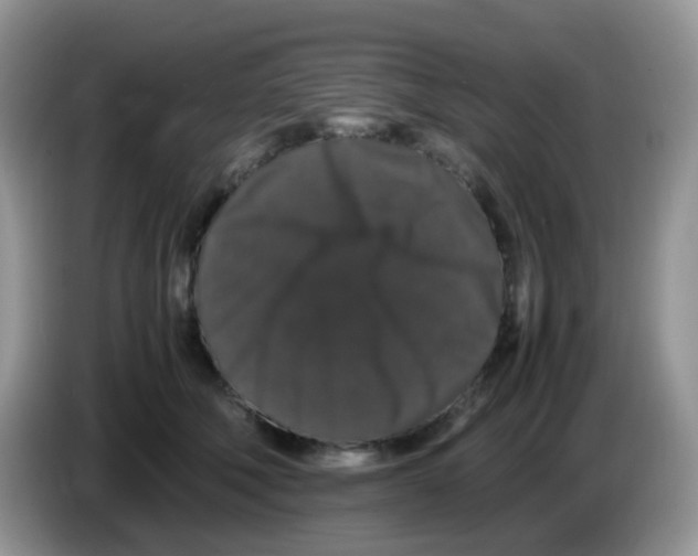 X0000086260610200704261957