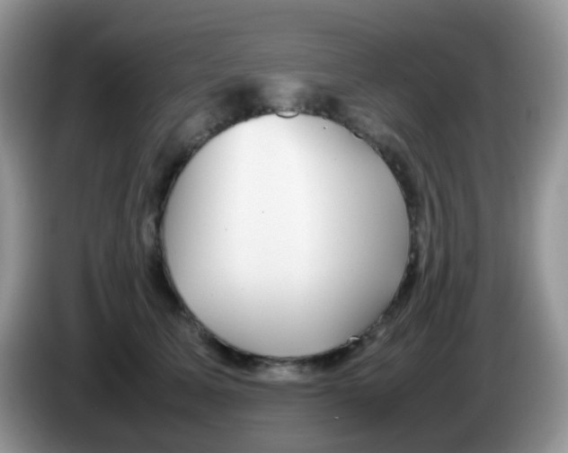 X0000086260611200704261957