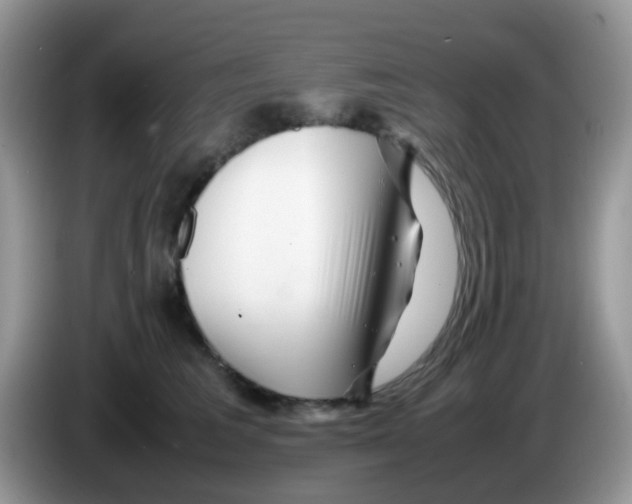 X0000086260613200704261957