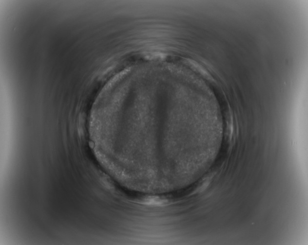 X0000086260616200704261957