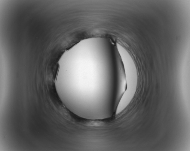 X0000086260617200704261957