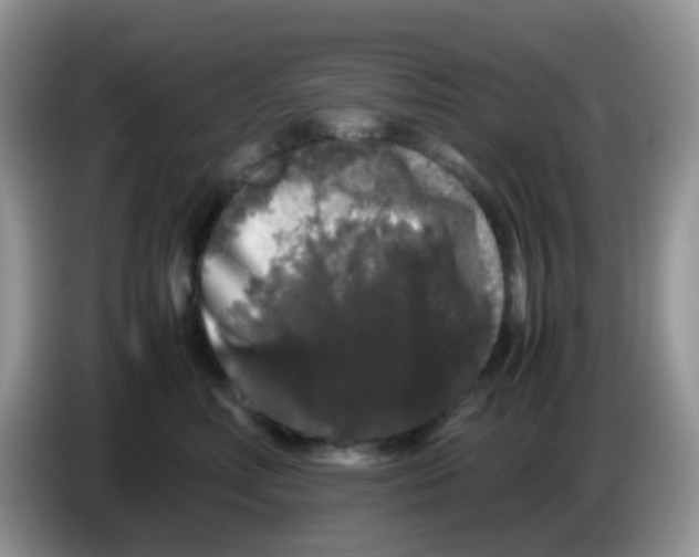 X0000086260618200704261957