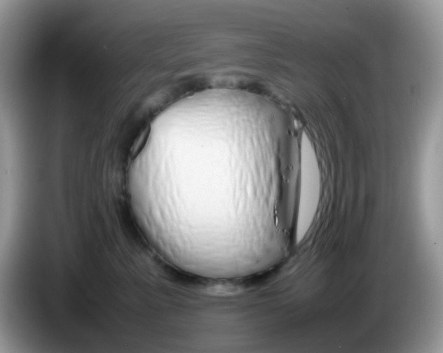 X0000086260619200704261957