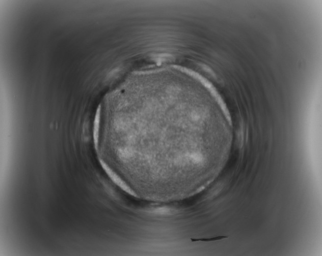 X0000086260620200704261957