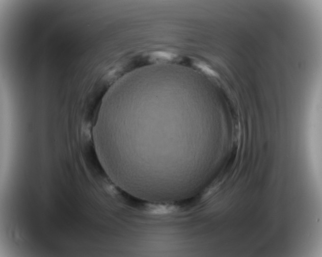 X0000086260621200704261957