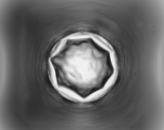 X0000086260623200704261957