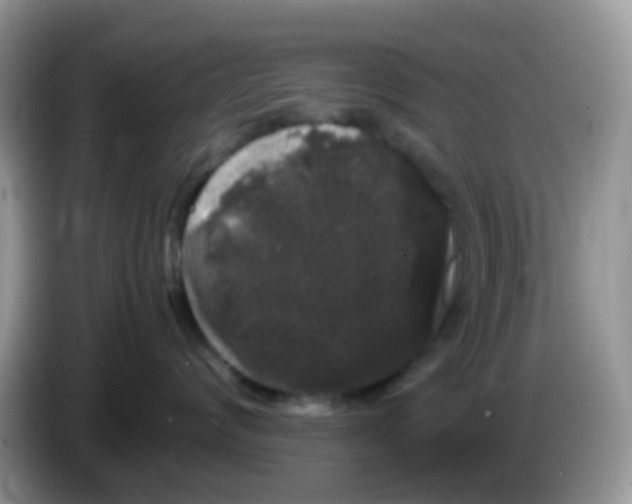 X0000086260624200704261957