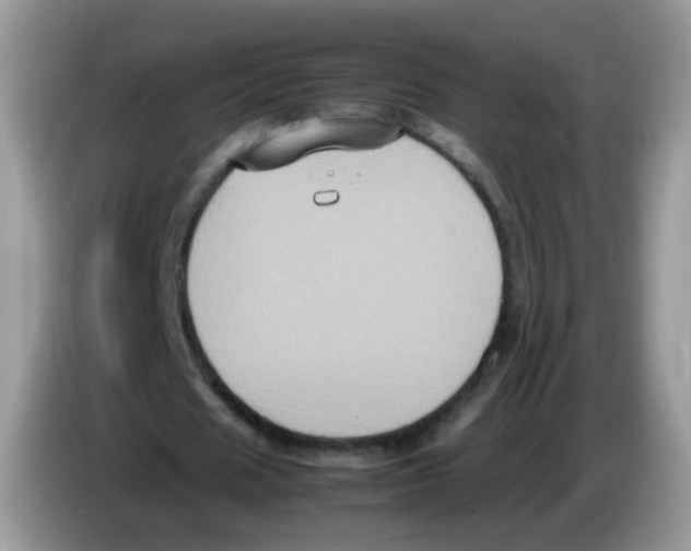 X0000086260625200704261956