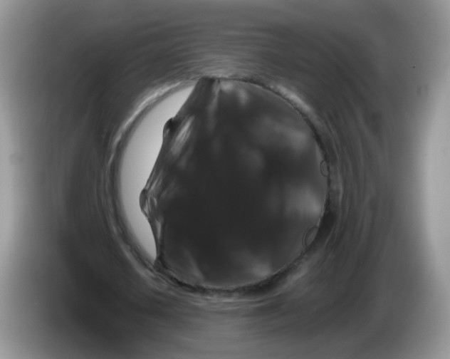 X0000086260626200704261956