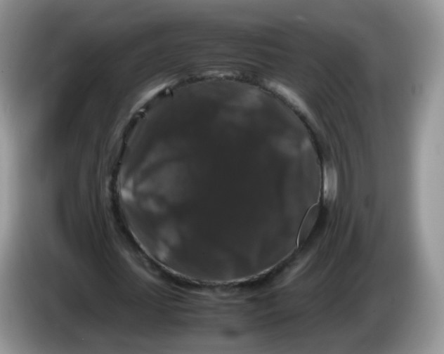 X0000086260627200704261956