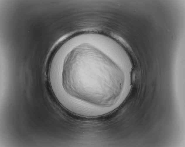 X0000086260628200704261956