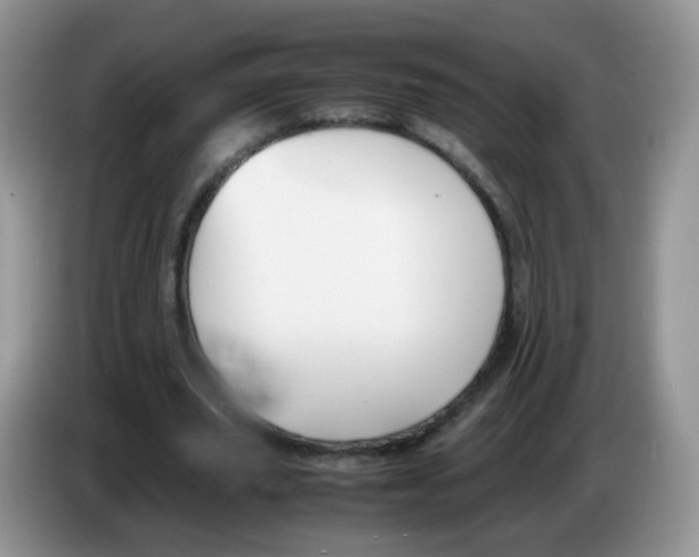 X0000086260629200704261956
