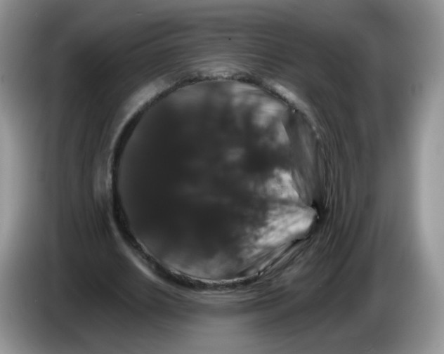 X0000086260630200704261956