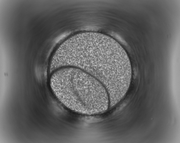X0000086260632200704261956