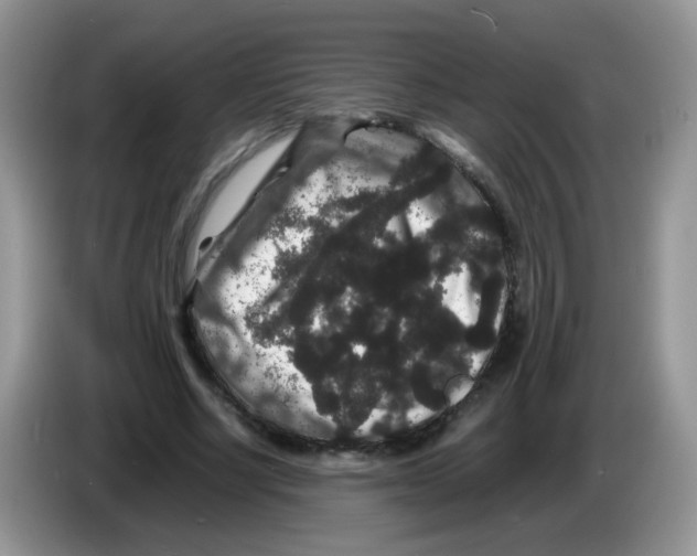 X0000086260634200704261956