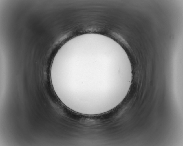 X0000086260635200704261956