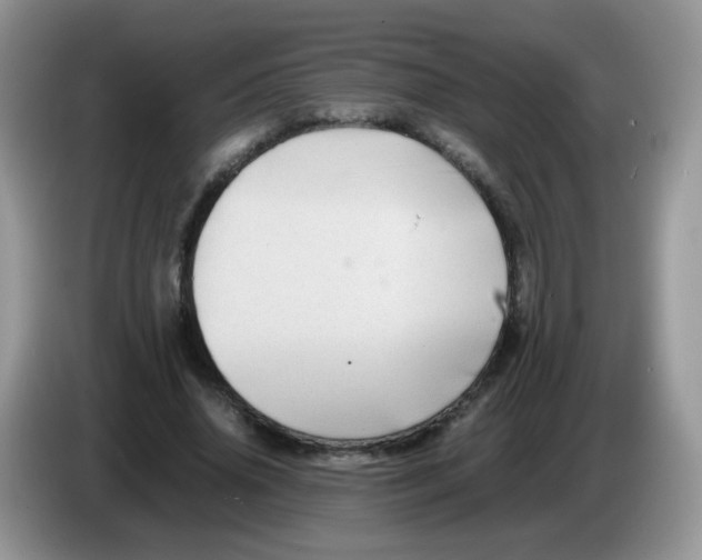 X0000086260636200704261956