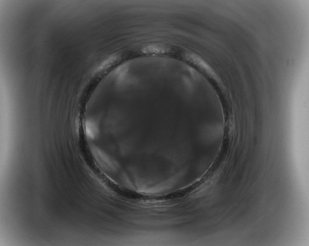 X0000086260637200704261956