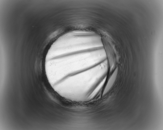 X0000086260638200704261956
