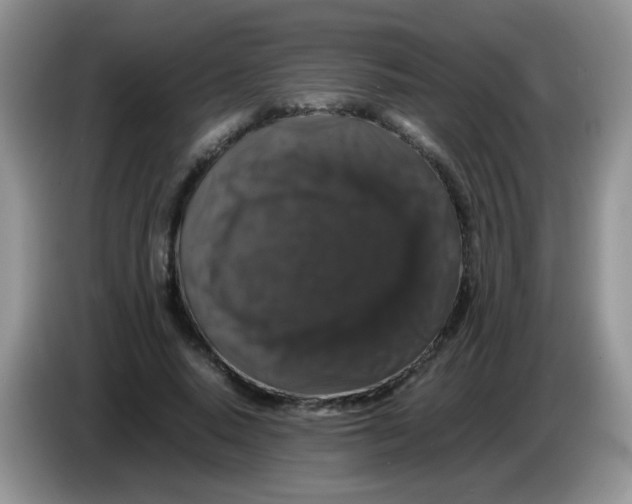X0000086260640200704261956
