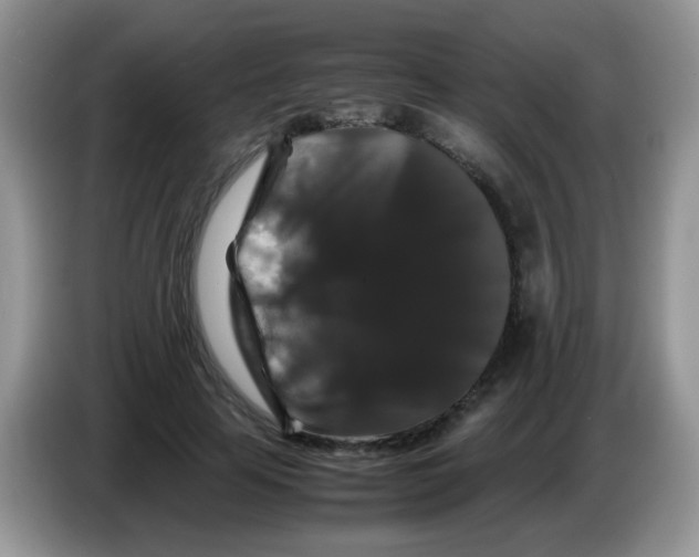 X0000086260641200704261956