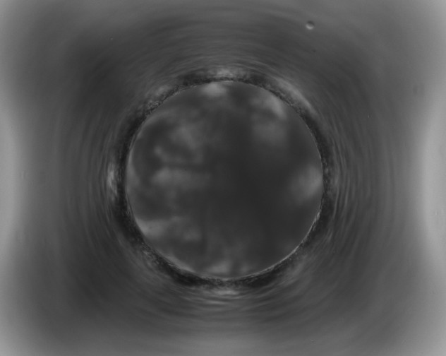 X0000086260643200704261956