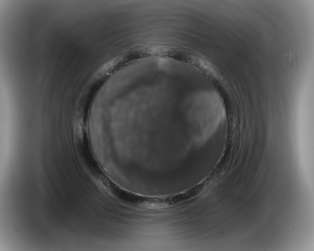 X0000086260644200704261956
