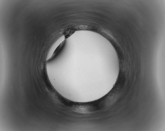 X0000086260645200704261956