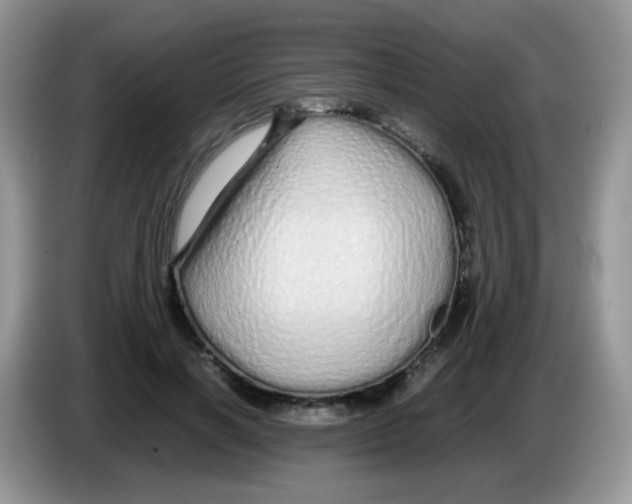 X0000086260646200704261956