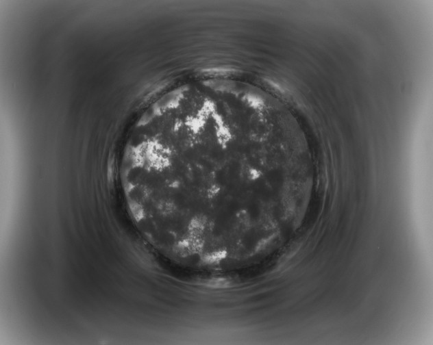 X0000086260647200704261956