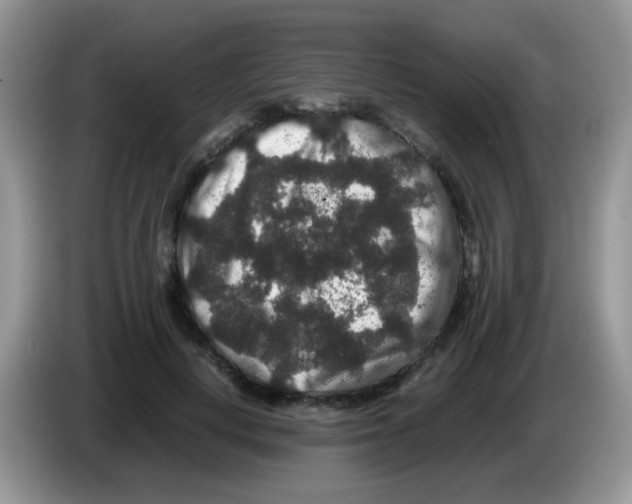 X0000086260648200704261956