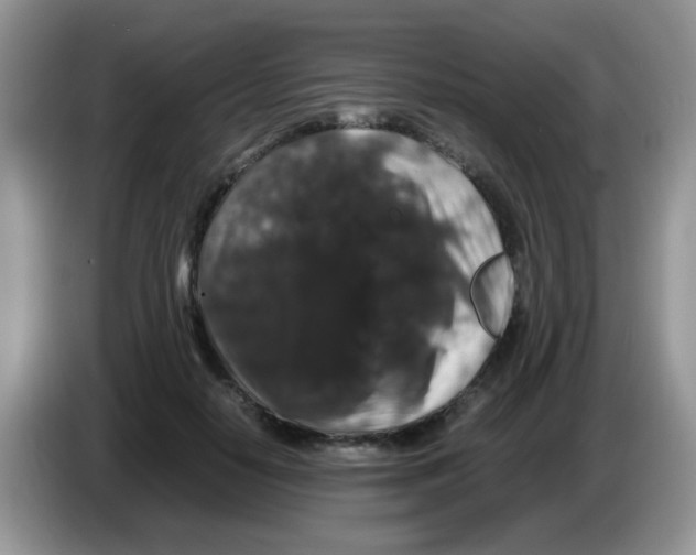 X0000086260650200704261957