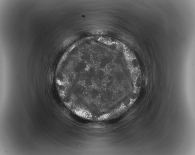 X0000086260652200704261957