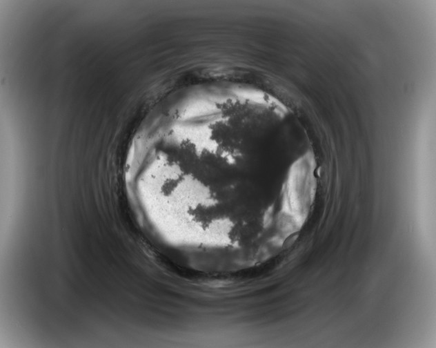 X0000086260653200704261957