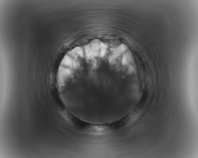X0000086260654200704261957