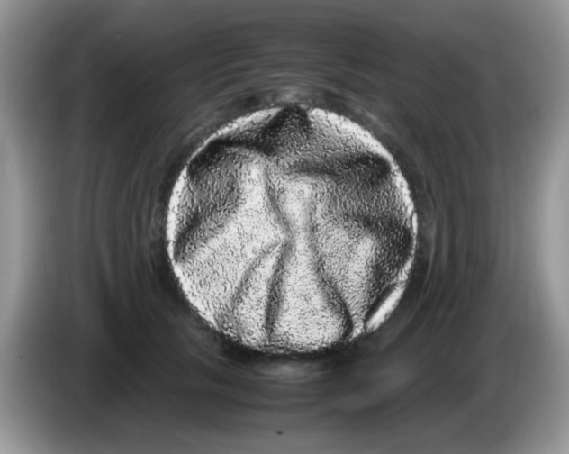 X0000086260657200704261957