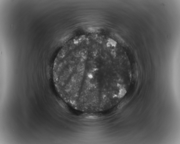 X0000086260658200704261957