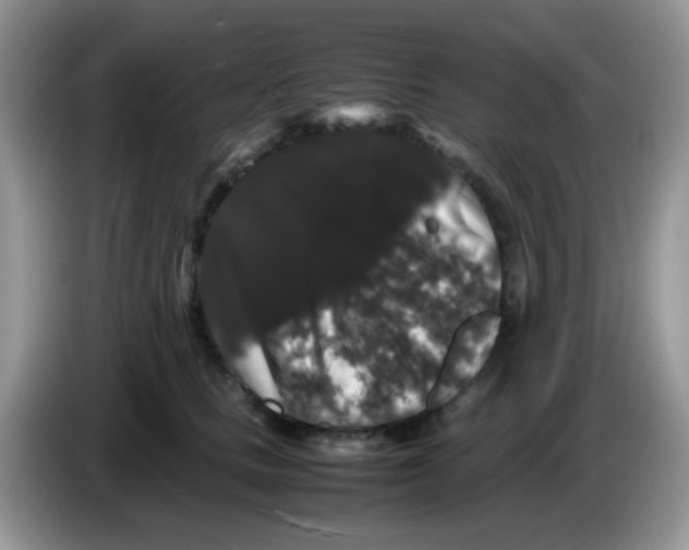 X0000086260661200704261957