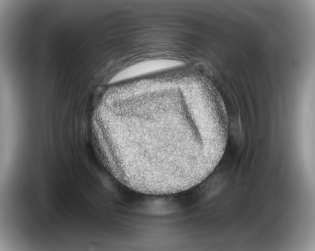 X0000086260662200704261957