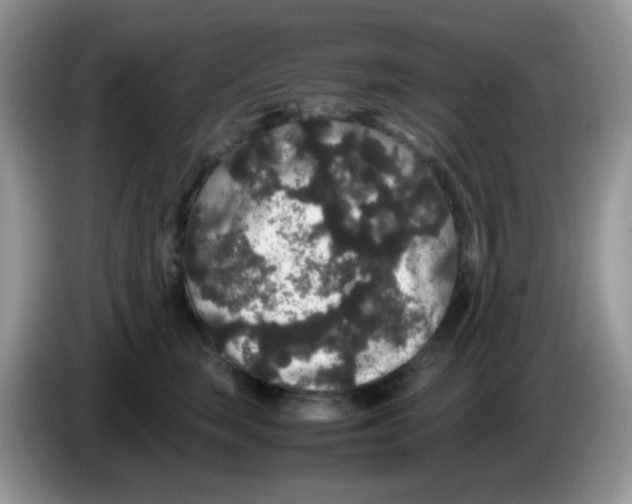 X0000086260663200704261957