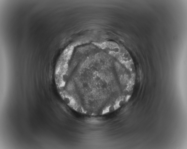 X0000086260664200704261957